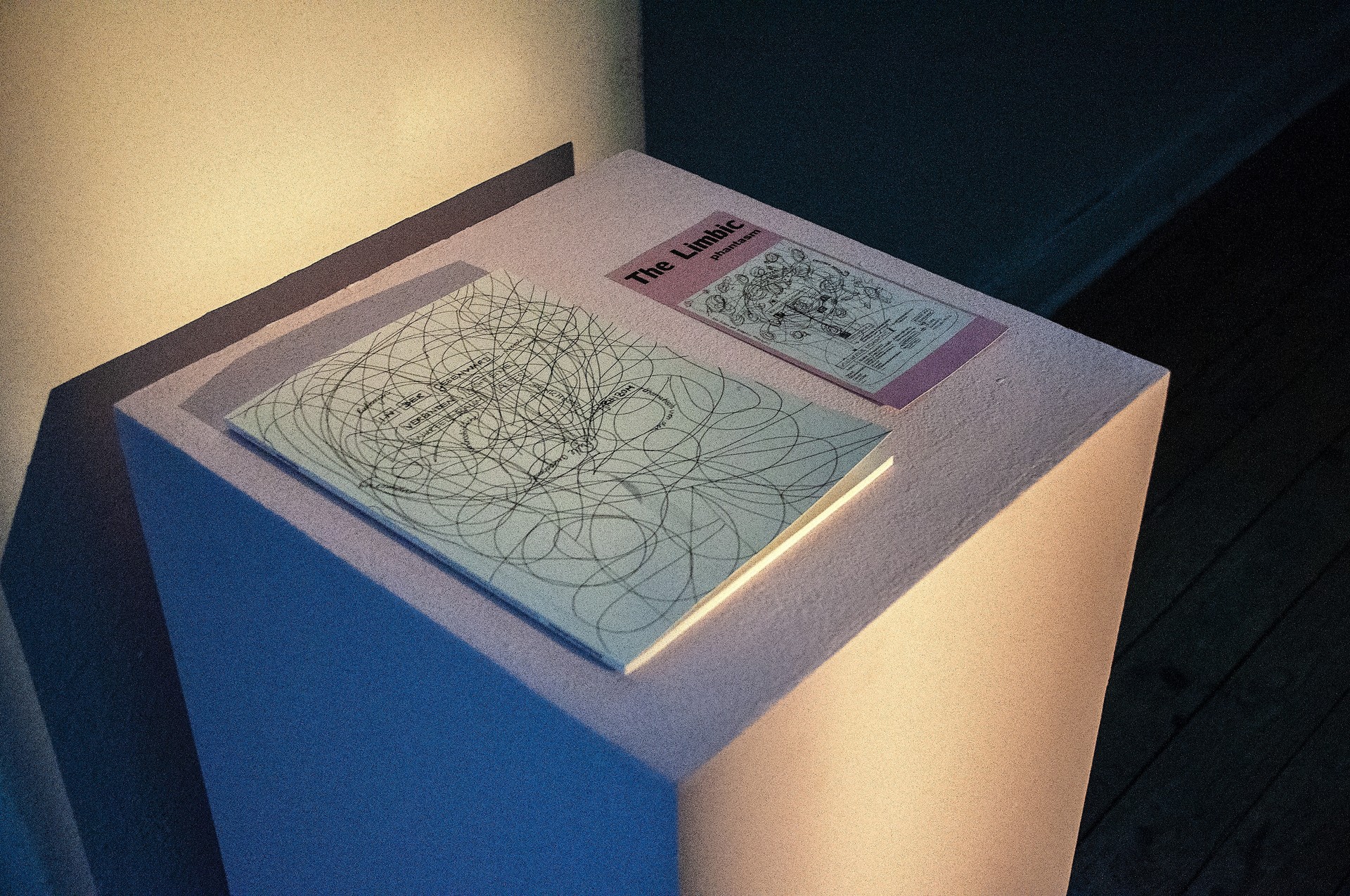 Gallery image 7